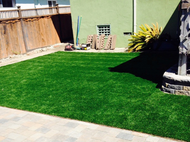 Synthetic Pet Grass Rock Hall Maryland Installation Back