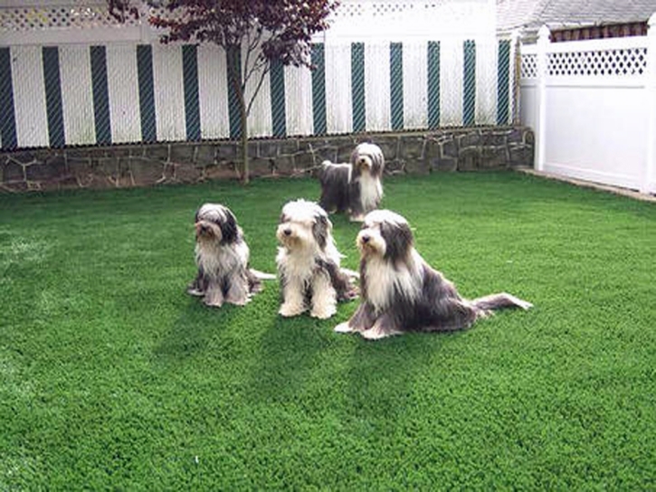 Synthetic Pet Grass Selby-on-the-Bay Maryland for Dogs