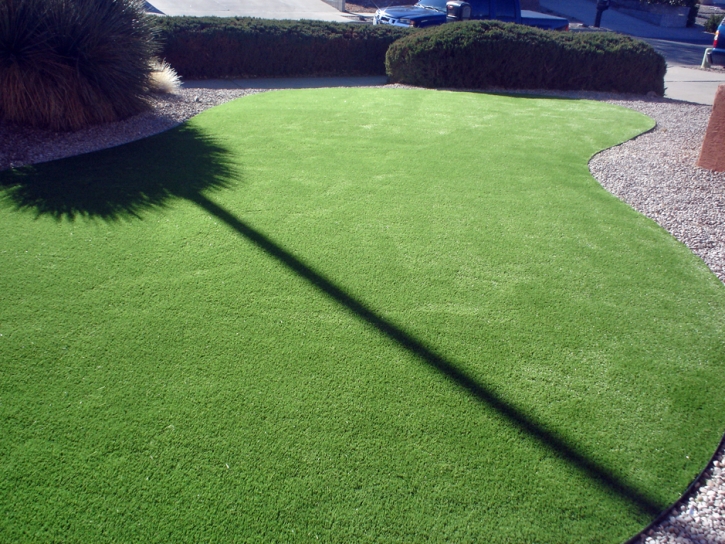 Synthetic Turf Arden on the Severn Maryland Landscape Commercial