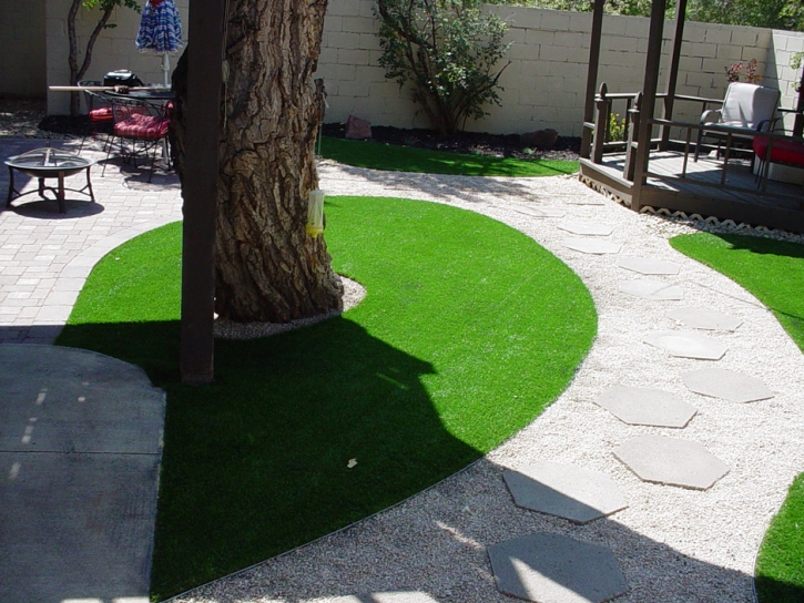 Synthetic Turf Arden on the Severn Maryland Landscape Front