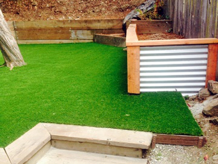 Synthetic Turf Bel Air North Maryland Lawn Recreational