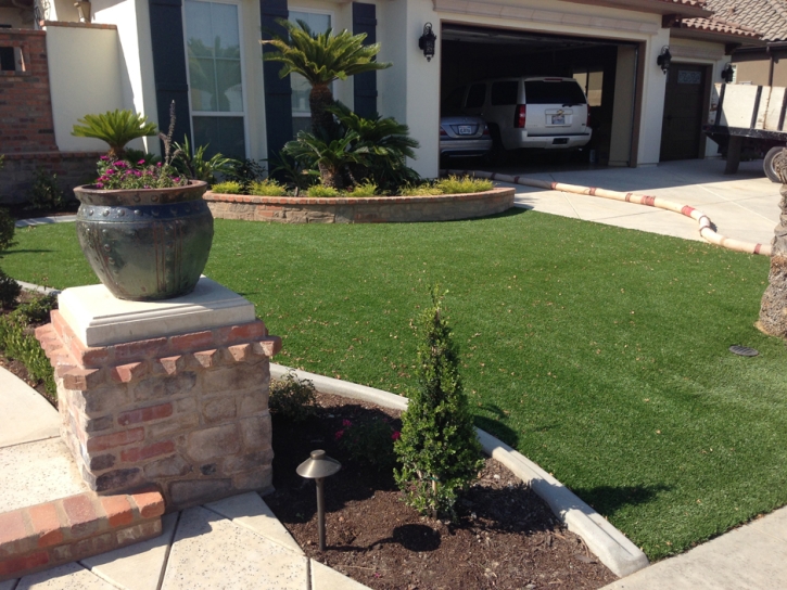 Synthetic Turf Berwyn Heights Maryland Landscape Back Yard