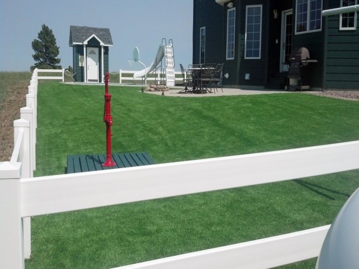 Synthetic Turf Cape Saint Claire Maryland Landscape