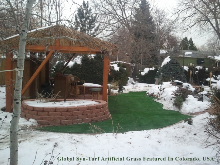 Synthetic Turf Charlestown Maryland Landscape