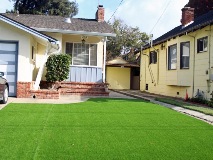 Synthetic Turf Cheverly Maryland Landscape Back Yard