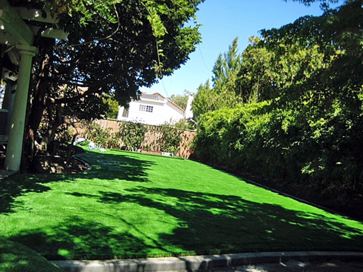 Synthetic Turf Ferndale Maryland Landscape Front Yard