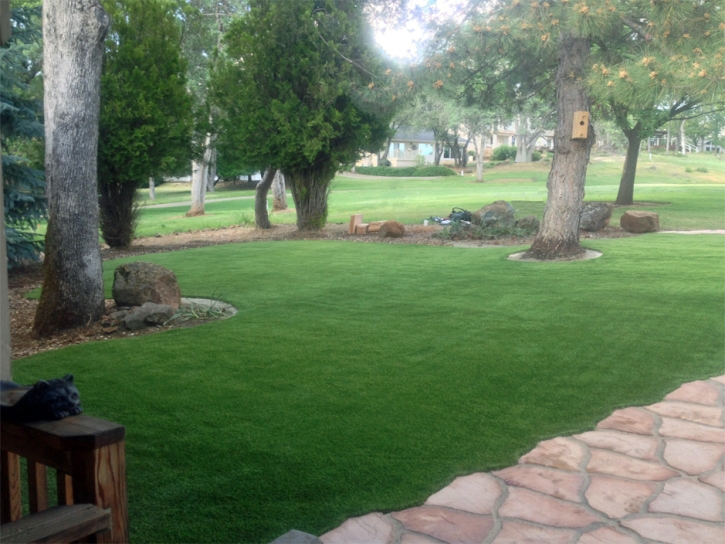 Synthetic Turf Fort Meade Maryland Lawn Front Yard