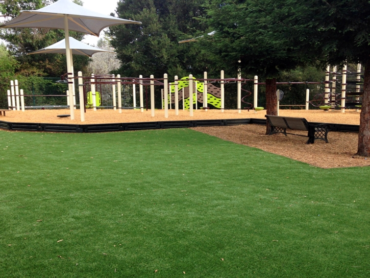 Synthetic Turf Georgetown Maryland Kids Safe Back Yard