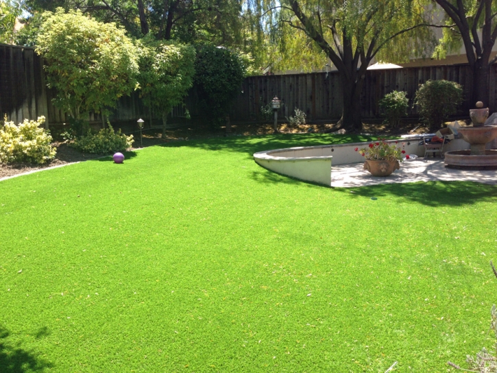 Synthetic Turf Glen Burnie Maryland Lawn Grass for Dogs