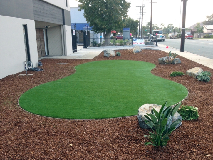 Synthetic Turf Hyattsville Maryland Landscape Back Yard