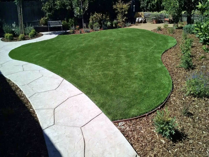 Synthetic Turf Joppatowne Maryland Lawn Back Yard