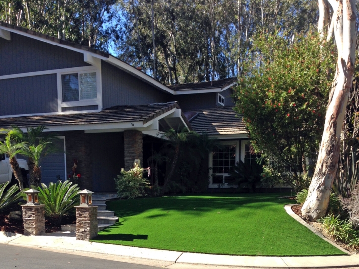 Synthetic Turf Kingstown Maryland Landscape Back Yard