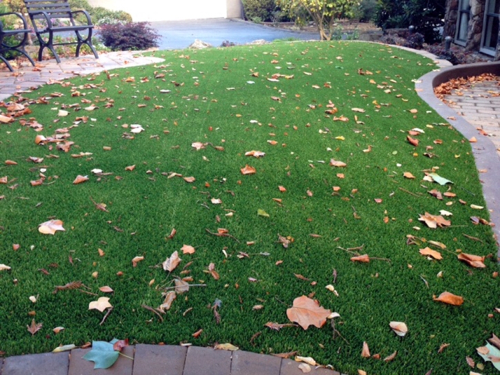 Synthetic Turf Langley Park Maryland Landscape Front Yard