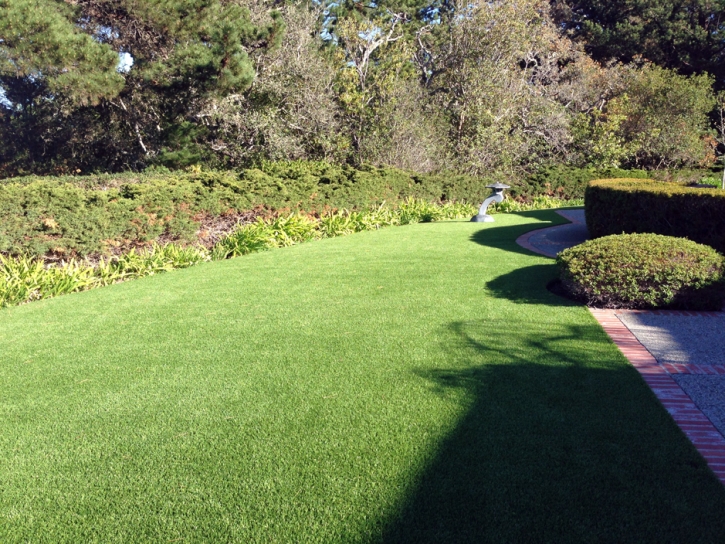 Synthetic Turf Odenton Maryland Landscape Back Yard