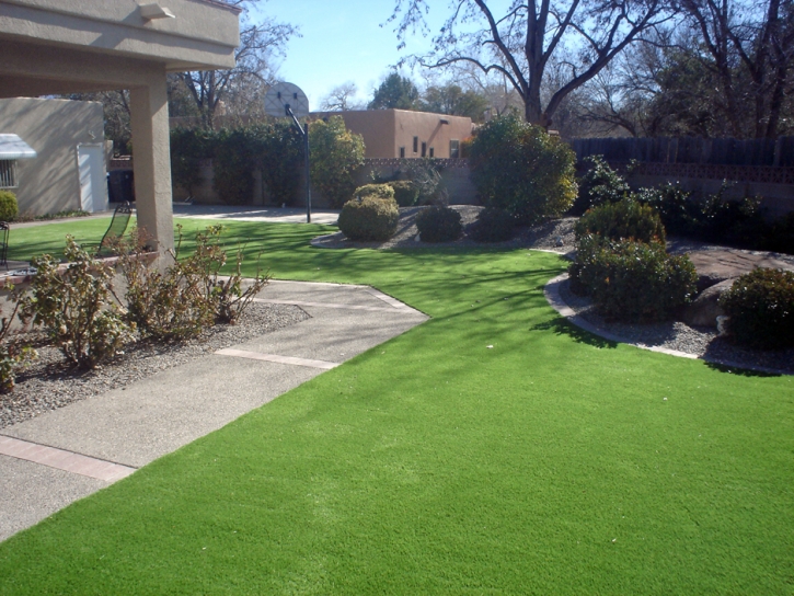 Synthetic Turf Overlea Maryland Lawn Front Yard