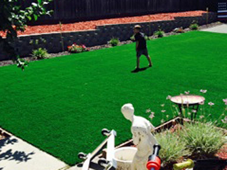 Synthetic Turf Parole Maryland Landscape