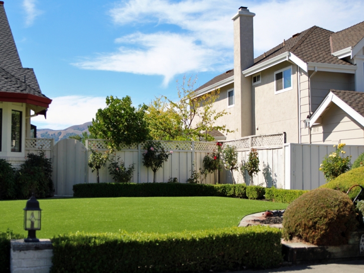 Synthetic Turf Perryman Maryland Lawn Front Yard