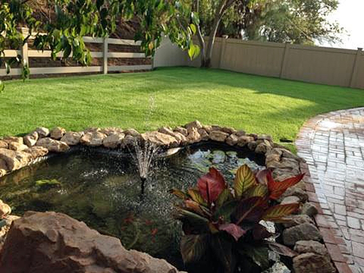 Synthetic Turf Queenstown Maryland Lawn Swimming Pools Back