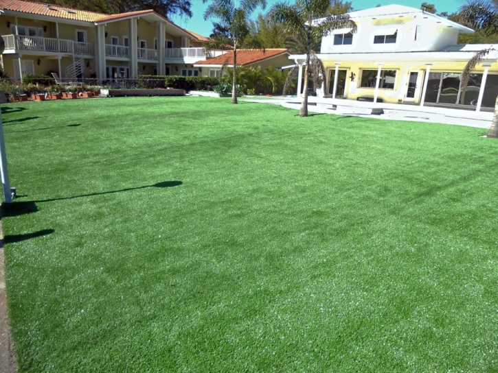 Synthetic Turf Reisterstown Maryland Landscape Swimming