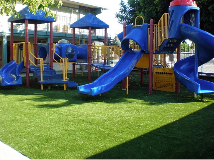 Synthetic Turf Robinwood Maryland Kids Safe Front Yard