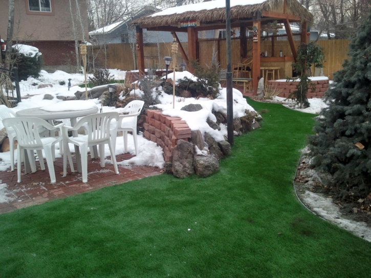 Synthetic Turf Rosedale Maryland Landscape