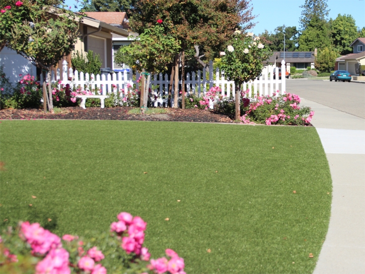 Synthetic Turf Seabrook Maryland Landscape Back Yard