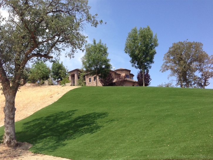 Synthetic Turf Severn Maryland Lawn Front Yard