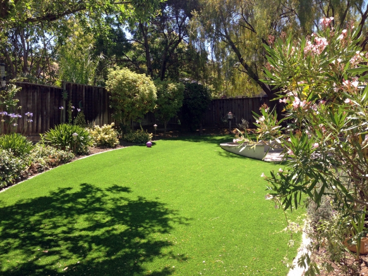 Synthetic Turf Trial Maryland Lawn Commercial Landscape